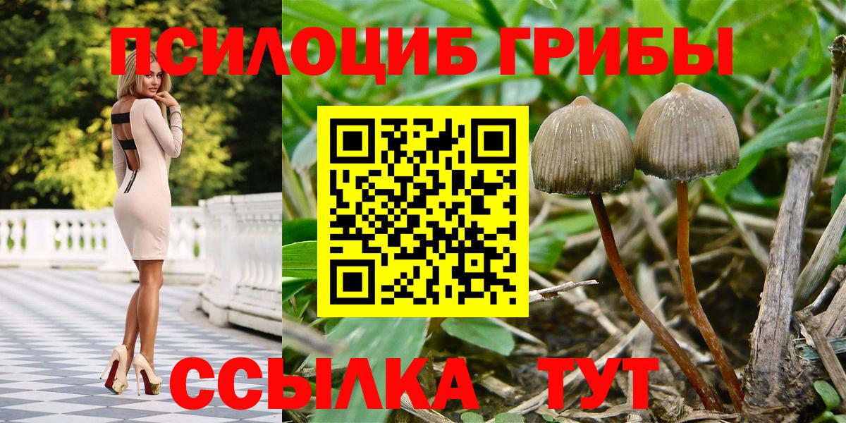 Уссурийск  где купить наркотик  Псилоцибиновые грибы MAGIC MUSHROOMS  Вход с VPN  Галлюциногенные грибы ЛСД 
